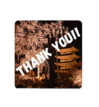 Beautiful Kyoto（個別スタンプ：1）