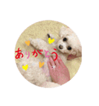 latte2nd（個別スタンプ：8）