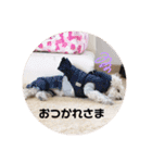 latte2nd（個別スタンプ：11）