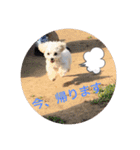latte2nd（個別スタンプ：13）