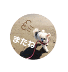latte2nd（個別スタンプ：15）