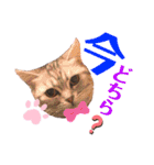 アメショのビビアン3！！！（個別スタンプ：16）