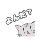 まいほーむきゃっと。2（個別スタンプ：15）