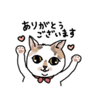 可愛い猫なでしこちゃん（個別スタンプ：1）