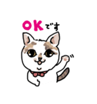 可愛い猫なでしこちゃん（個別スタンプ：2）