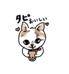 可愛い猫なでしこちゃん（個別スタンプ：3）