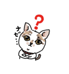可愛い猫なでしこちゃん（個別スタンプ：5）