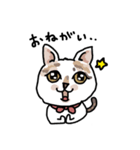 可愛い猫なでしこちゃん（個別スタンプ：6）