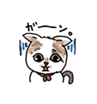 可愛い猫なでしこちゃん（個別スタンプ：7）