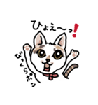可愛い猫なでしこちゃん（個別スタンプ：9）