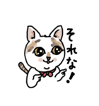 可愛い猫なでしこちゃん（個別スタンプ：10）