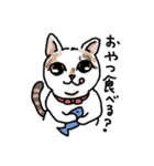 可愛い猫なでしこちゃん（個別スタンプ：13）