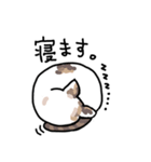 可愛い猫なでしこちゃん（個別スタンプ：16）