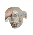 nekomakitvオリジナルスタンプ（個別スタンプ：2）