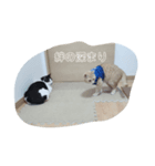 nekomakitvオリジナルスタンプ（個別スタンプ：3）