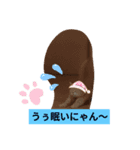 子猫の時（個別スタンプ：3）