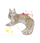 子猫の時（個別スタンプ：6）