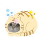 子猫の時（個別スタンプ：7）