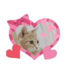 子猫の時（個別スタンプ：8）