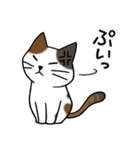 みけねこ便り1（個別スタンプ：14）