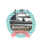 タイワンリスくん（個別スタンプ：6）