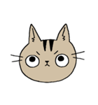 自粛するねこ（個別スタンプ：4）
