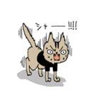 自粛するねこ（個別スタンプ：11）