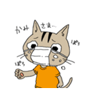 自粛するねこ（個別スタンプ：19）