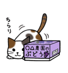 みけねこ便り2（個別スタンプ：21）