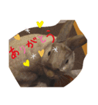 ウサギのももかと申します。（個別スタンプ：2）