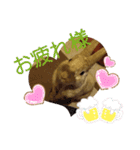ウサギのももかと申します。（個別スタンプ：3）