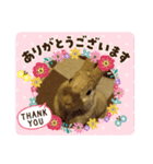 ウサギのももかと申します。（個別スタンプ：5）