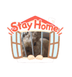 ウサギのももかと申します。（個別スタンプ：10）