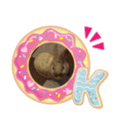 ウサギのももかと申します。（個別スタンプ：12）
