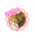 ウサギのももかと申します。（個別スタンプ：14）