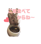 ウサギのももかと申します。（個別スタンプ：15）