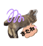 ウサギのももかと申します。（個別スタンプ：19）