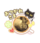 ウサギのももかと申します。（個別スタンプ：20）
