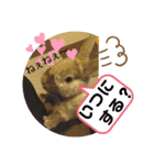 ウサギのももかと申します。（個別スタンプ：23）