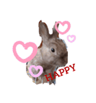 うさぎのももかです。（個別スタンプ：3）