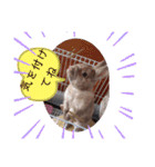 うさぎのももかです。（個別スタンプ：4）