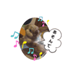 うさぎのももかです。（個別スタンプ：7）