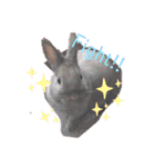 うさぎのももかです。（個別スタンプ：9）