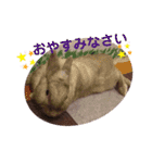 うさぎのももかです。（個別スタンプ：10）