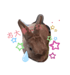 うさぎのももかです。（個別スタンプ：16）