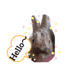 うさぎのももかです。（個別スタンプ：17）