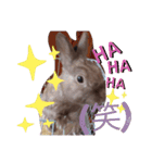うさぎのももかです。（個別スタンプ：18）