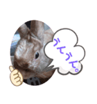 うさぎのももかです。（個別スタンプ：19）