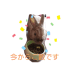 うさぎのももかです。（個別スタンプ：21）
