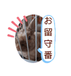 うさぎのももかです。（個別スタンプ：22）